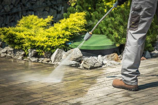 Best Playground Equipment Cleaning  in Third Lake, IL