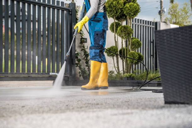 Best Sidewalk and Walkway Cleaning  in Third Lake, IL